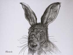 Florinda Ke Sophie - Ahhh. D&uuml;rer l&auml;sst gr&uuml;&szlig;en, Graphit auf Papier, 32 x 42,5 cm, 2021