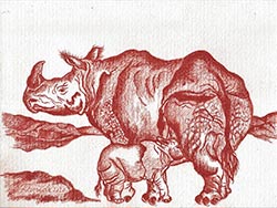 Florinda Ke Sophie - Panzer-Nashorn, Rötel auf Papier, 32 x 42,5 cm, 2020