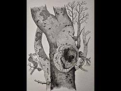 Florinda Ke Sophie - Alter Baum mit H&ouml;hle #1, Graphit auf Papier, 32 x 42,5 cm, 2022