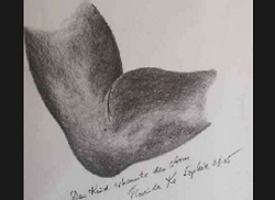 Florinda Ke Sophie - Das Kind erkannte den Arm, Graphit, 30 x 40 cm, Papier mit Passepartout, 2005