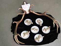 Florinda Ke Sophie - Jeder Hirsch war der Arzt, Installation, Mixed Media, H-36 cm, B-110 cm, T-100 cm, 2013