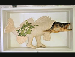 Florinda Ke Sophie - Wander-Zander mit Meersalat