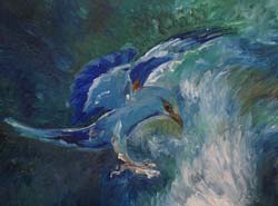 Florinda Ke Sophie - Blauracke