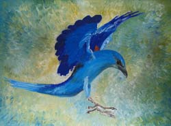 Florinda Ke Sophie - Blauracke