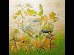 Florinda Ke Sophie - Studie #1 � Osterluzei , 100 x 100 cm, 2024